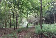 Einfamilienhaus mit parkähnlichem, großen Grundstück