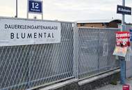 Garten im Eigentum der Kleingartenanlage Blumental