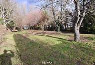 PROVISIONFREI - Grundstück in Hainburg an der Donau - Naturidylle in Donaunähe