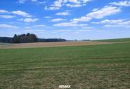 Liegenschaft mit ca. 20 ha landwirtschaftliche Nutzflächen
