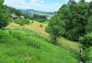 Bastlertraum: Einfamilienhaus mit Garagen, Werkstatt und Stall in Stallhofen zu verkaufen