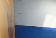 NATUR - PUR Wohnung mit großem Balkon!