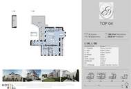 "Sky Duplex" – Himmelwärts wohnen, stilvoll leben! Villa "Elida 9"- Wohnen und Leben in Donau-Nobellage!