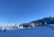 Provisionsfrei - gemütliche Wohnung mit Terrassen &amp; Kamin