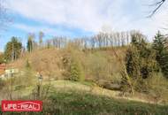 sonniges Grünland eingebetet neben Bach und Wald, kein Bauland