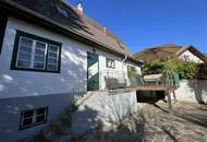 € 1.050.000 für 1.020 m² Grundstück bei Burg Liechtenstein: Haus in Traumlage STOJANSTRASSE mit wunderschönem Garten!