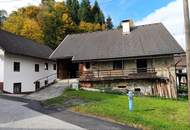 Für Naturliebhaber und Heimwerker- sanierungsbedürftiges Bauernhaus mit Nebengebäuden - zwischen Hermagor und Villach