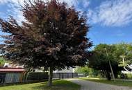 Exquisites Einfamilienhaus Kernsaniert mit Ausbaupotenzial (Provisionsfrei)