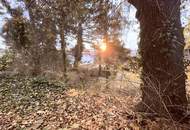 RARITÄT IN DER NÄHE VON SCHÖNBRUNN: Altbestand mit Garten &amp; Fernblick