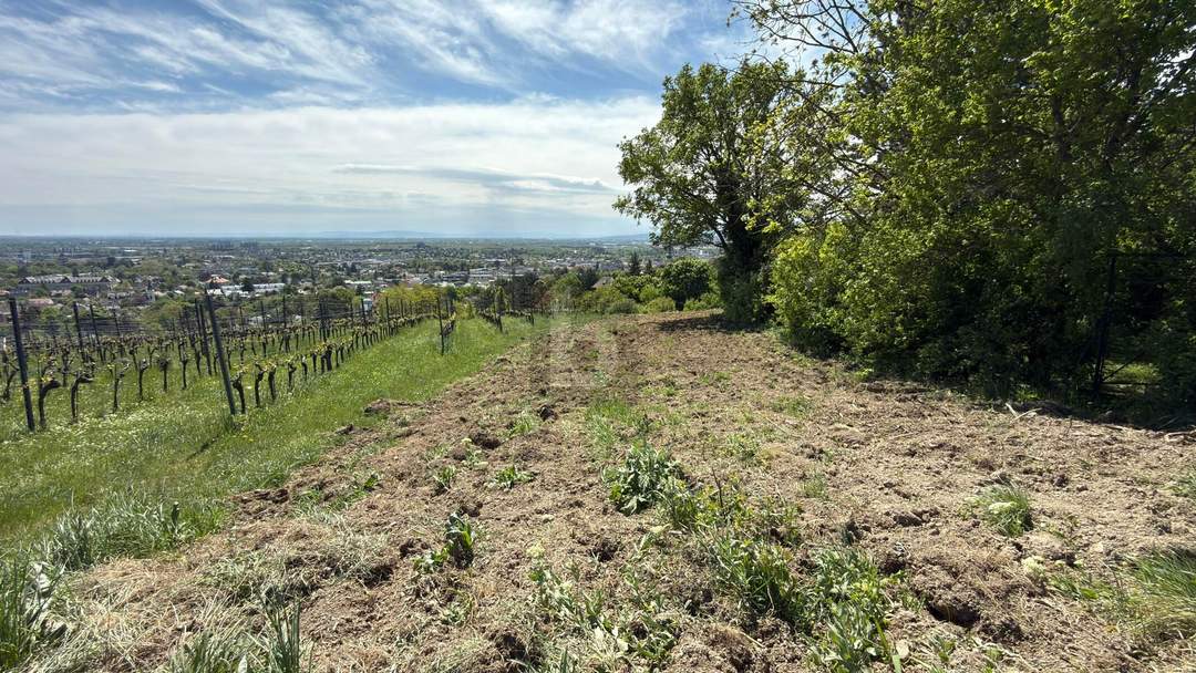 FÜR LANGFRISTIGE ANLEGER IN ORTSRAND-RUHELAGE MIT TOP PANORAMA