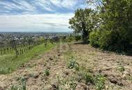 FÜR LANGFRISTIGE ANLEGER IN ORTSRAND-RUHELAGE MIT TOP PANORAMA