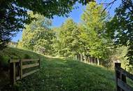 Ein Juwel, ein Sacherl des 18. Jahrhunderts – Historisches Anwesen mit modernem Wohntraum und idyllischem Grundstück!