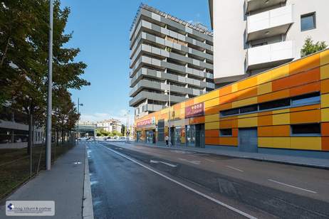 MÖBLIERTE 50M² MIT 55M² ECKTERRASSE IM LEOPOLD-TOWER IM CITY GATE, Wohnung-miete, 1.210,00,€, 1210 Wien 21., Floridsdorf