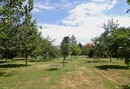 Historische Altbauvilla trifft auf modernen Luxus – Ihre private Residenz an der Leitha!