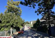 Wohnen zwischen den Schirmföhren mit Blick zum Husarentempel