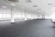 Lagerhalle 750 m2 südlich von Wien, in Wr. Neudorf