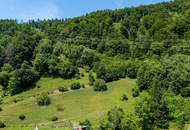 Großzügige Waldfläche nahe Thalersee