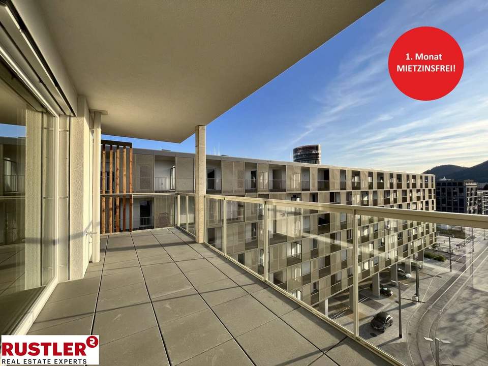 Abendsonne I Neubauwohnung I XL-Balkon