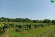 Uriges Unikat - Presshaus mit Weinkeller unweit von Krems