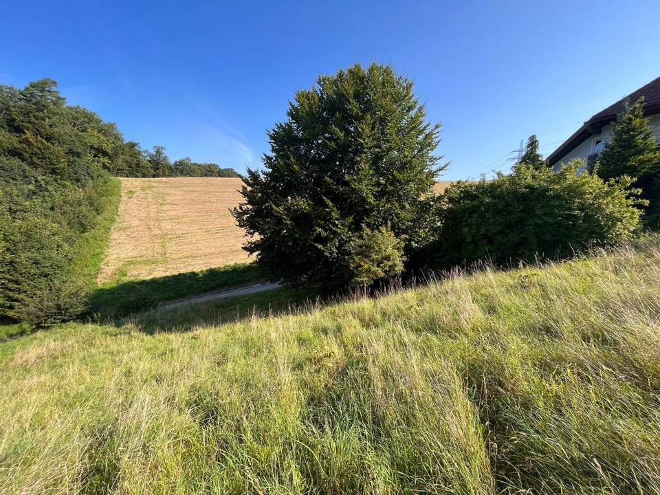 Interessantes Baugrundstück in Stadtnähe