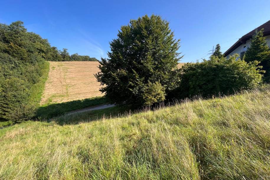 Interessantes Baugrundstück in Stadtnähe, Grund und Boden-kauf, 90.000,€, 4441 Amstetten