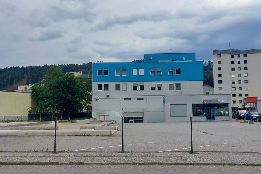 Gewerbefläche im Zentrum von Spittal/Drau zu mieten, Gewerbeobjekt-miete, 9800 Spittal an der Drau