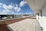 111,21qm 4ZI- PENTHOUSE 33,05qm Terrasse, 71qm Gründach u. 28,58qm Balkon, zzgl. 2 Tiefgaragenstellplätzen