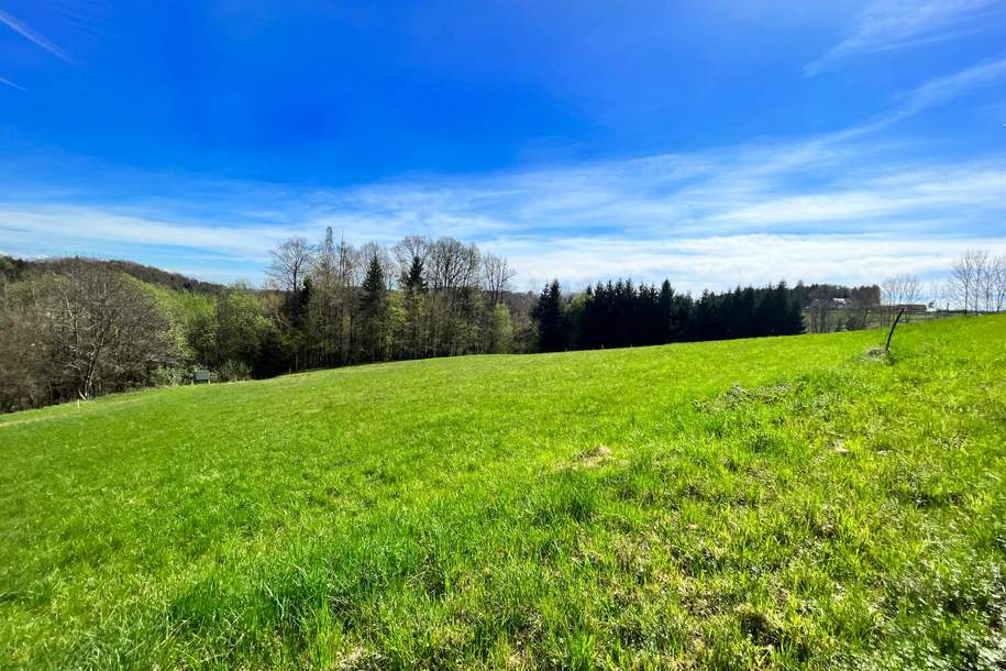 RIES: 590 m² sonniges Baugrundstück nahe Graz!, Grund und Boden-kauf, 189.000,€, 8010 Graz(Stadt)