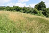 Schönes Baugrundstück am Sonnenplateau des Millstätter Sees