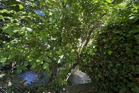 Traumhaftes Mehrfamilienhaus-Ensemble: 3 Wohneinheiten, XL-Garten, 2 Garagen!, Haus-kauf, 615.000,€, 2620 Neunkirchen