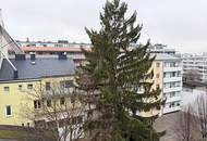 NEILREICHGASSE, sonnige 43 m2 Neubau, Einzelwohnraum, Küche, Duschbad, Parketten, 5. Liftstock, Hofruhelage