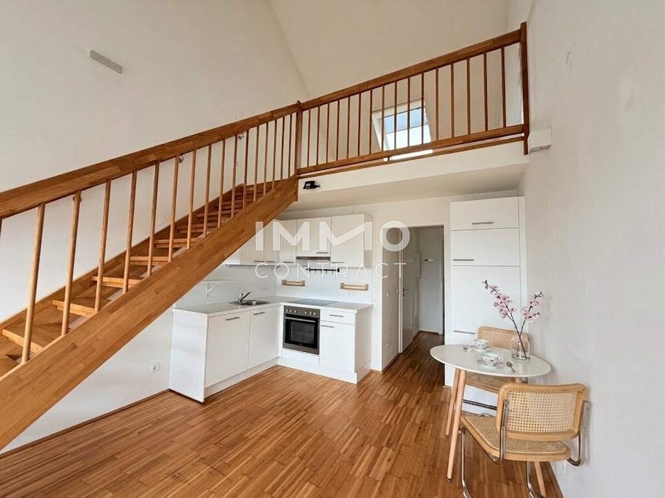 Modernes Loft-Apartment im Dachgeschoss mit Galerie und traumhaftem Blick über den Schlosshof