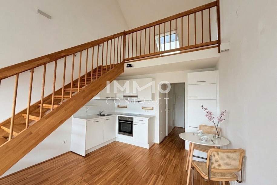 Modernes Loft-Apartment im Dachgeschoss mit Galerie und traumhaftem Blick über den Schlosshof, Wohnung-miete, 548,18,€, 7100 Neusiedl am See