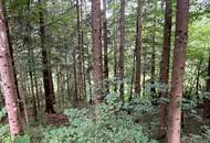 Uriges Bauernhaus in idyllischer Lage mit Wald und Wiesenflächen