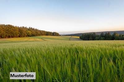 Grundstück, St.Gerogen am Walde Versteigerungsobjekt