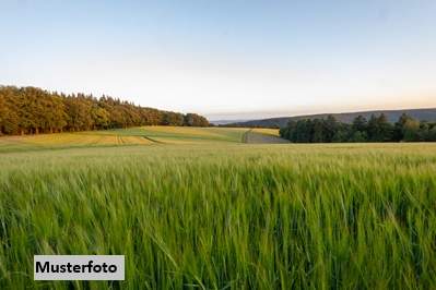 Grundstück, St.Gerogen am Walde Versteigerungsobjekt, Grund und Boden-kauf, 444.000,€, 4372 Perg