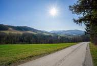 Mitten im Grünland! Einzigartige Panoramalage im Laabental - Hobby-Tierhaltung!