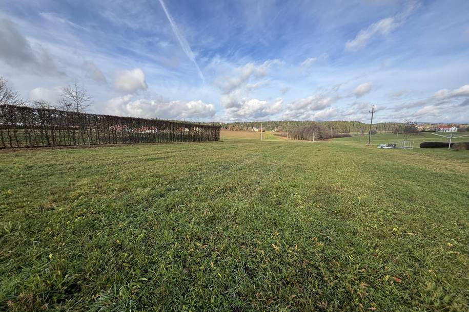 Ca. 5260 m² Landwirtschaftlicher Nutzgrund, Grund und Boden-kauf, 25.900,€, 4724 Grieskirchen