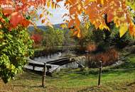 Landsitz in Einzellage - 6 Hektar - Der Garten Eden könnte nicht schöner sein !