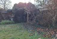 Haushälfte mit Garten - Renovieren nach eigenem Stil