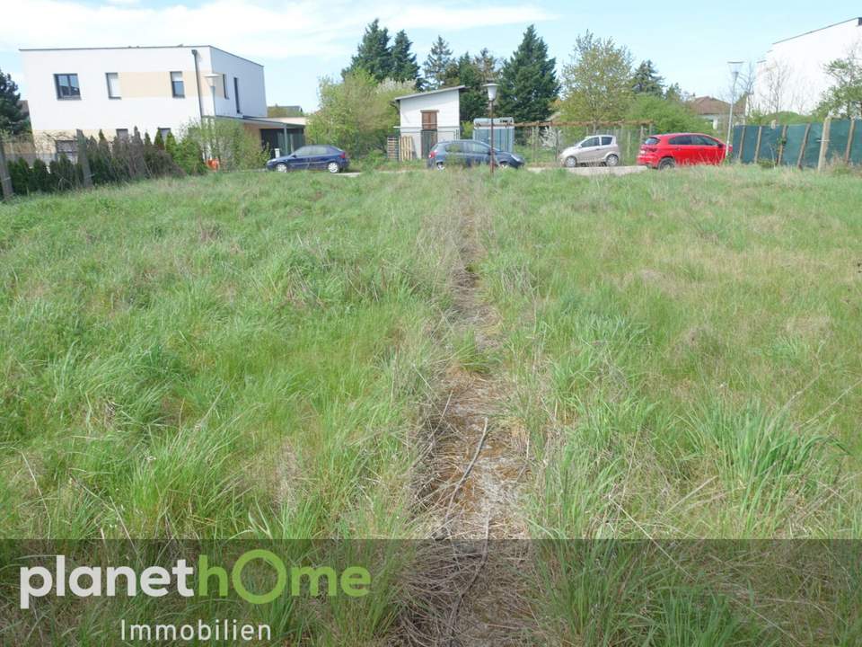 Ebenes Baugrundstück in Deutsch Wagram