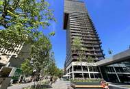 Blick auf die Vienna Skyline - Wohnen im Triiiple Tower