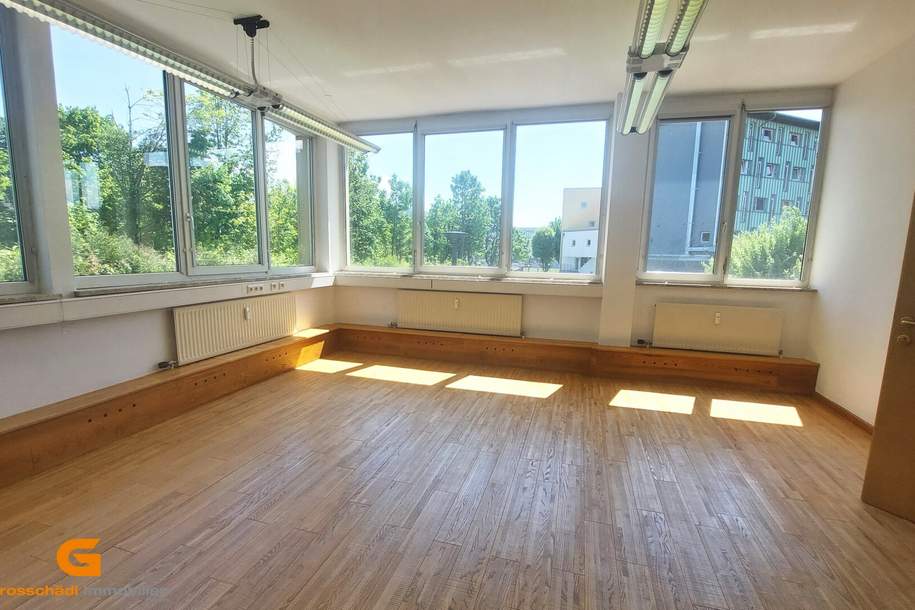 Büro oder Ordination in ruhiger Salzachlage in Salzburg Stadt mieten, Gewerbeobjekt-miete, 2.989,94,€, 5020 Salzburg(Stadt)