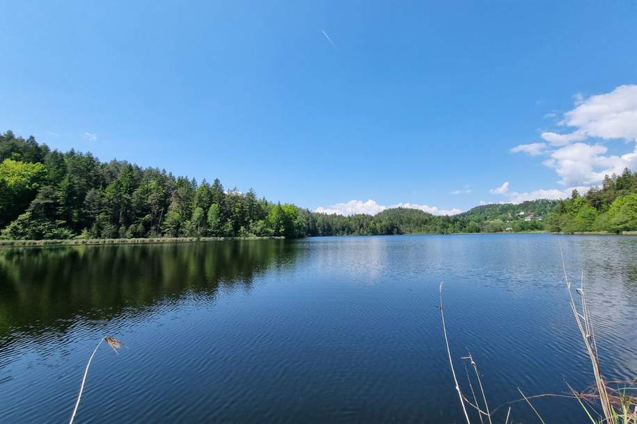 Liebhaberobjekt am traumhaften Saissersee, Haus-kauf, 495.000,€, 9220 Villach Land