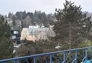 Terrassenwohnung in Grinzing