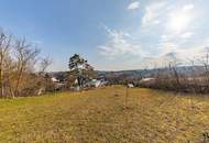EINZIGARTIGE GELEGENHEIT! BAUERNHOF MIT 9789 m² LANDWIRTSCHAFT & 2421 m² WEINGARTEN! FÜR NATURFREUNDE & TIERLIEBHABER!
