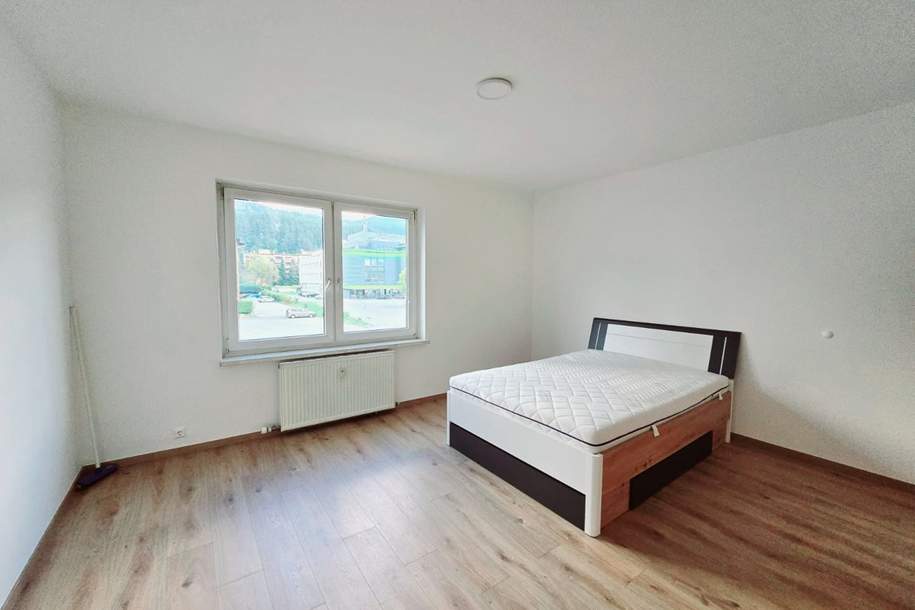 Neu renovierte Single-Wohnung in Spittal mit neuer Einbauküche, Wohnung-miete, 420,00,€, 9800 Spittal an der Drau