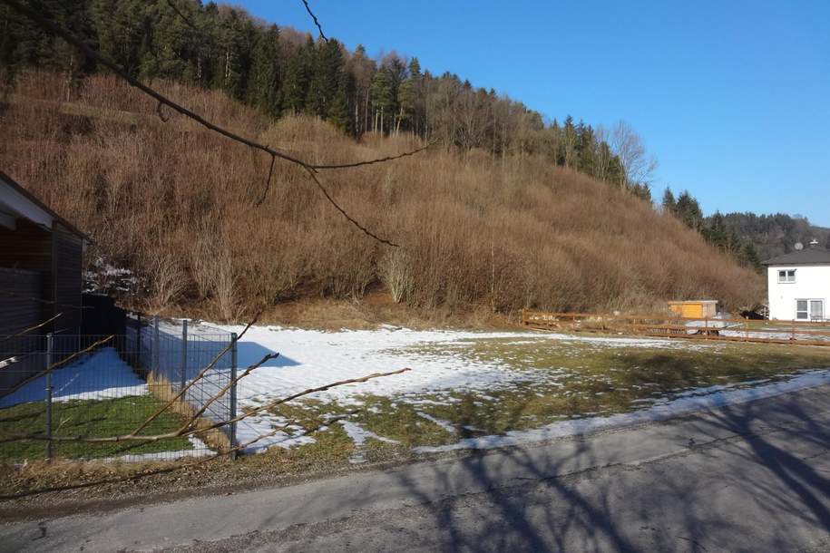 GRUNDSTÜCK OHNE BAUZWANG IN RUHIGER LAGE!, Grund und Boden-kauf, 66.720,€, 2831 Neunkirchen