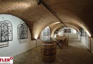 Historischer Charme und moderne Architektur zwischen den Weingärten!