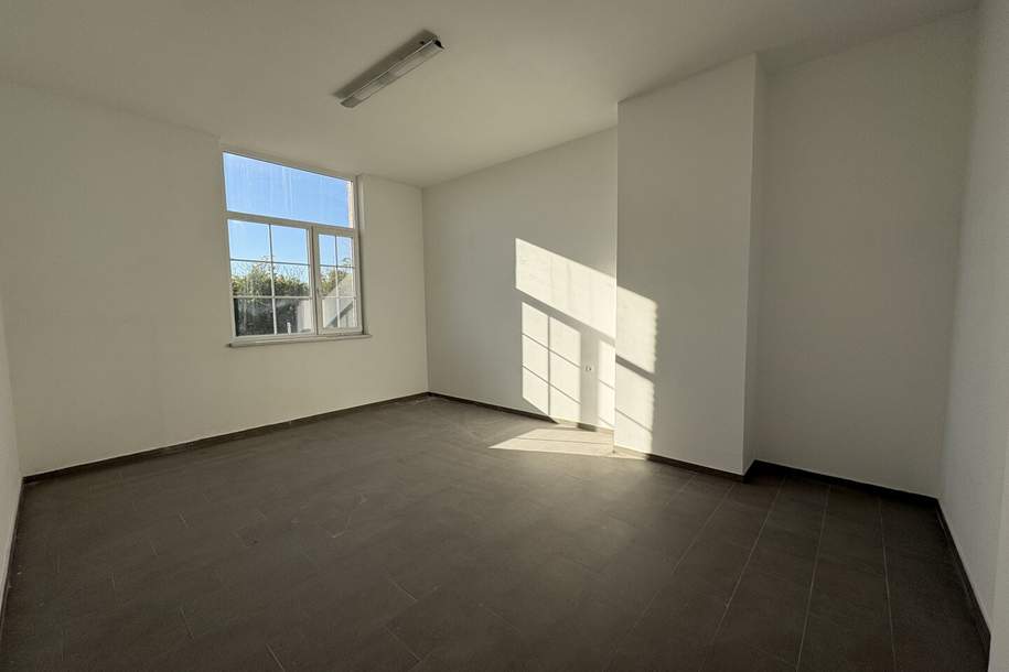 Vielseitig nutzbarer Raum, Büro, Lager im Industriegebiet – ca. 17 m² PROVISIONSFREI!!! D9, Gewerbeobjekt-miete, 295,00,€, 2601 Wiener Neustadt(Land)